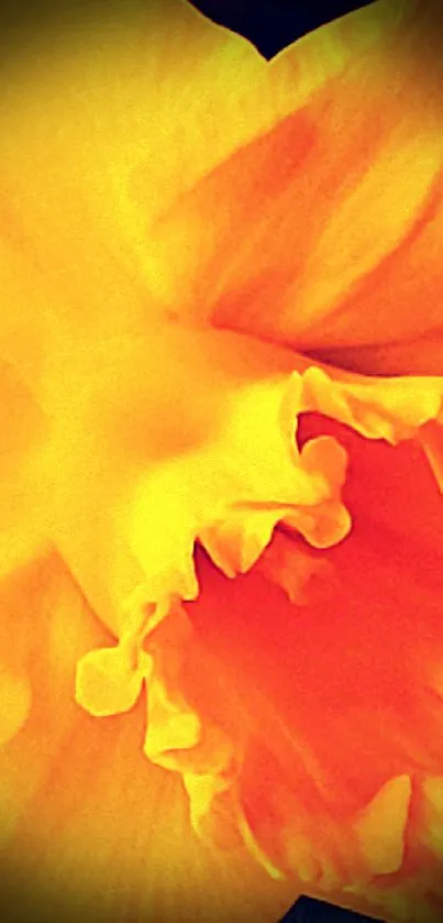 Vibrant yellow daffodil wallpaper with orange center.