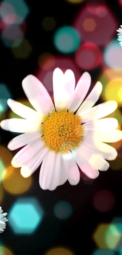 Mobile wallpaper with daisies and colorful hexagonal bokeh on a black background.