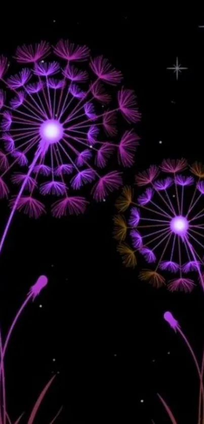 Purple dandelion design on a starry black background wallpaper.