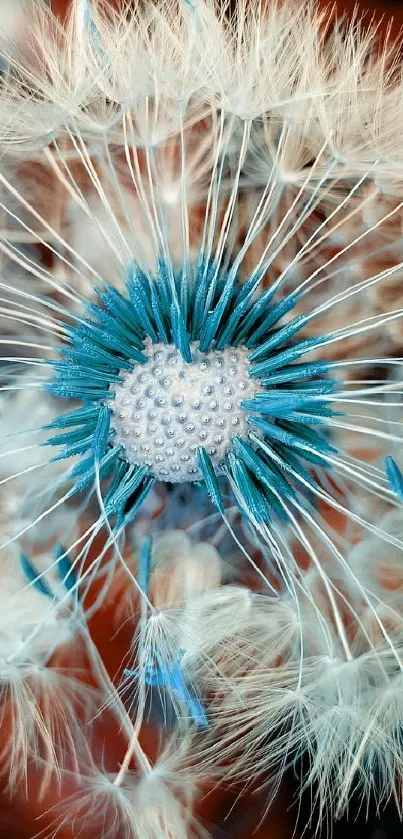 Macro view of a dandelion with blue highlights.