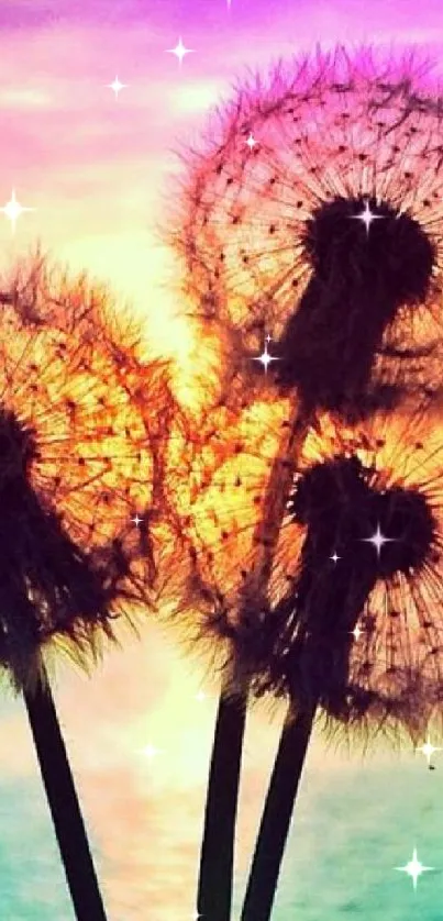 Vibrant sunset behind dandelions over water with colorful sky.