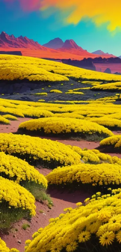 Vivid desert field with yellow flowers under a colorful sunset sky.