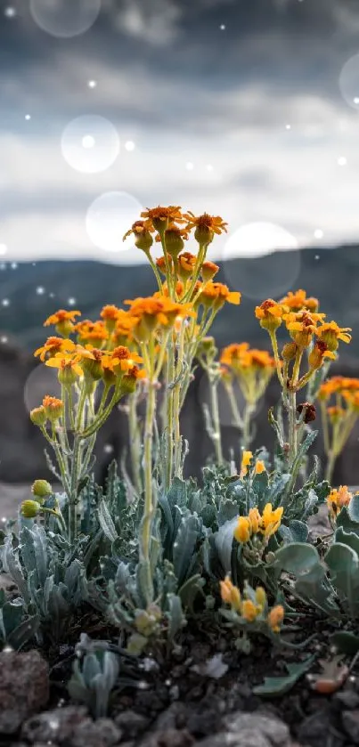 Beautiful yellow desert flowers with mountainous backdrop.