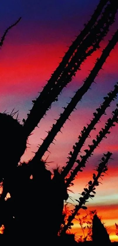 Cactus silhouettes against purple sunset sky.