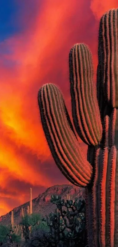 Desert sunset with cacti and vibrant orange sky.