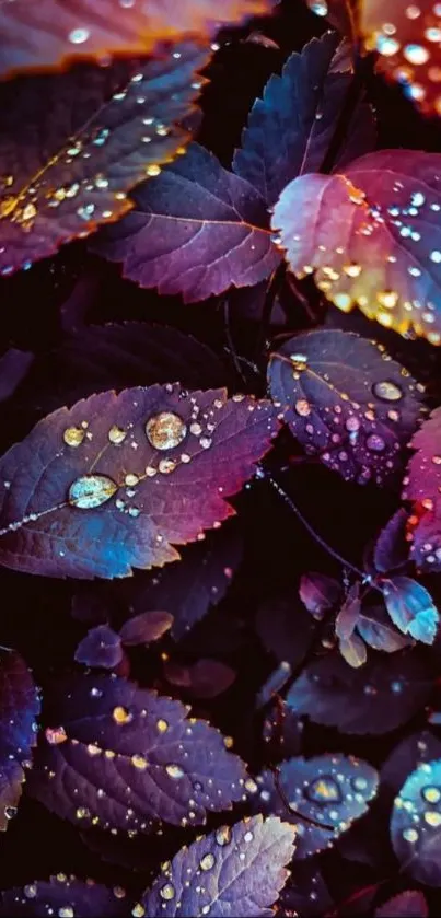 Vibrant leaves with dewdrops in rich colors on cellphone wallpaper.