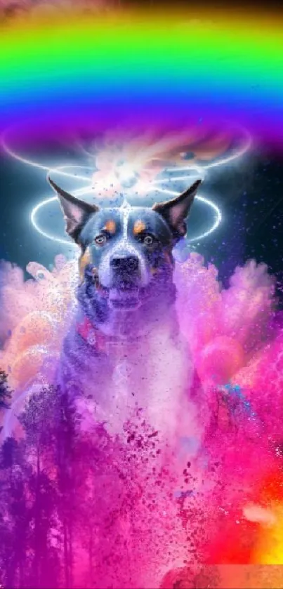 Dog with vibrant cosmic and rainbow colors in abstract design.