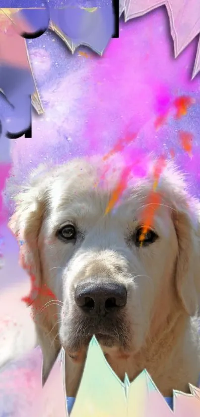 Golden retriever framed by colorful abstract design.