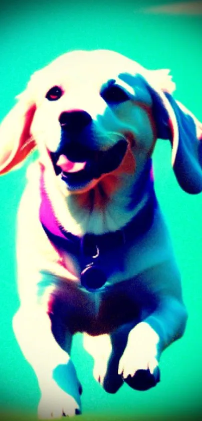 Joyful dog running in vibrant, colorful wallpaper.