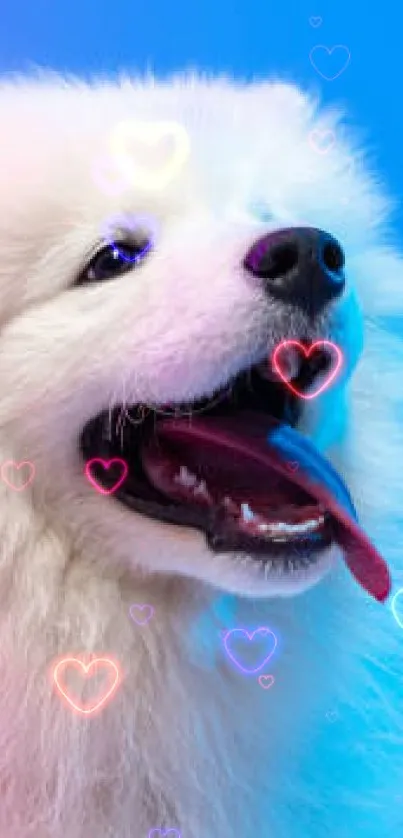 Happy fluffy dog with blue and pink gradient background.