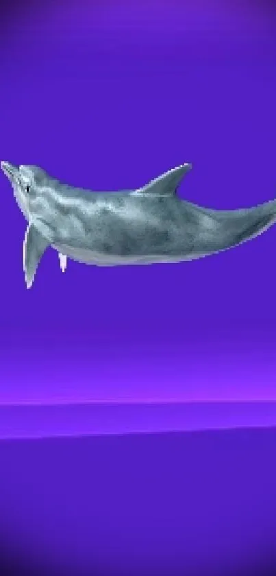 Purple wallpaper featuring a dolphin illustration.