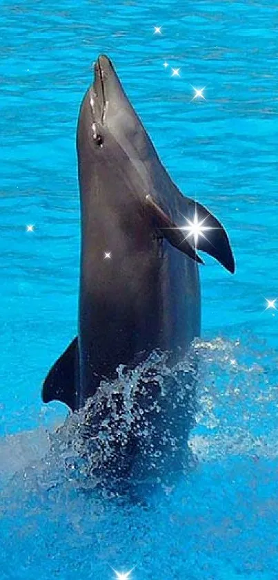 Dolphin leaping through bright blue water.