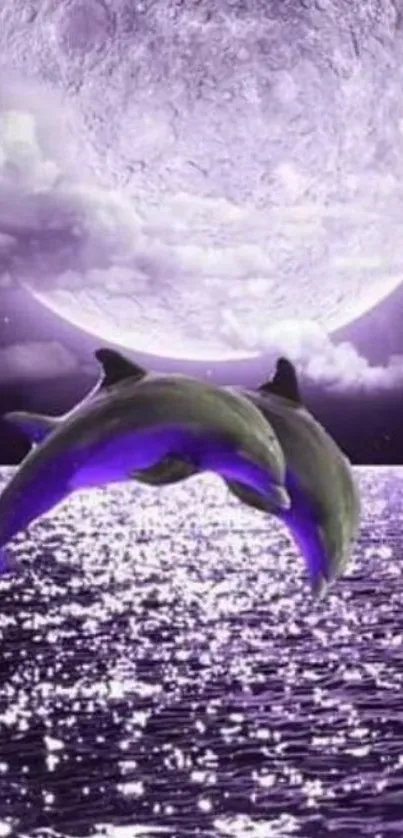 Dolphins leaping under a full moon over violet ocean waves.