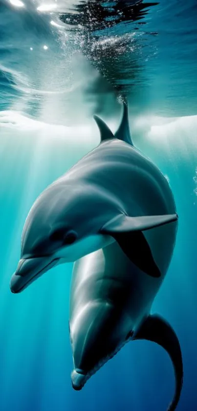 Two dolphins swimming gracefully underwater in a teal blue ocean.