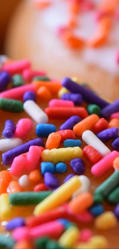 Close-up of colorful donuts with vibrant sprinkles.