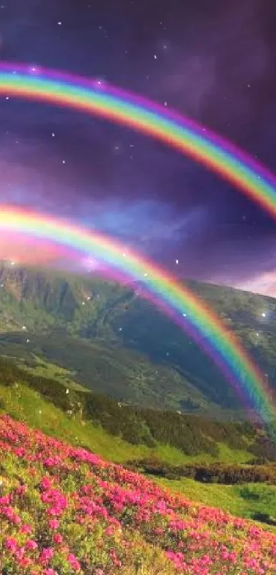 Double rainbow over a colorful valley at sunset, featuring pink flowers and green hills.