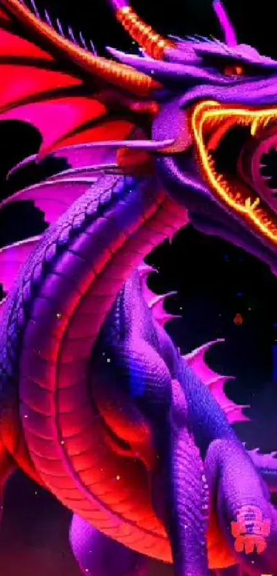 Vibrant purple dragon with fiery accents on a fantasy wallpaper.