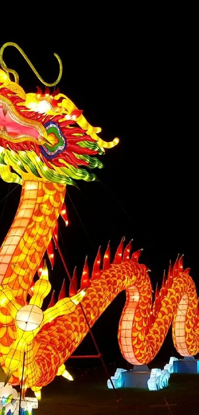 Vibrant dragon lantern glowing at night festival event.