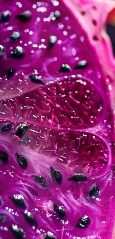 Close-up of a vibrant dragon fruit slice with detailed texture and rich colors.