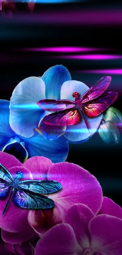 Vibrant dragonflies resting on colorful orchids against a black background.