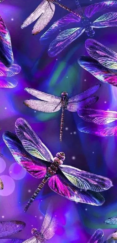 Vibrant dragonfly-themed phone wallpaper in purple hues.