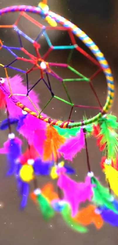 Vibrant dreamcatcher with colorful feathers.