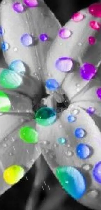 Colorful droplets on a black and white flower mobile wallpaper.