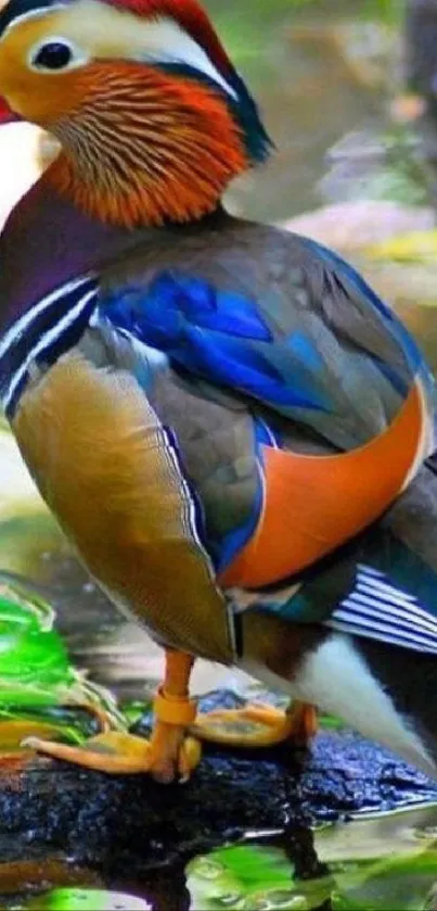 Vibrant mandarin duck on a branch with colorful feathers in serene nature setting.