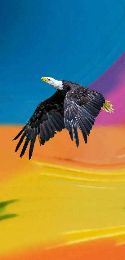 Vibrant eagle flying across colorful blue, orange, and pink blend.