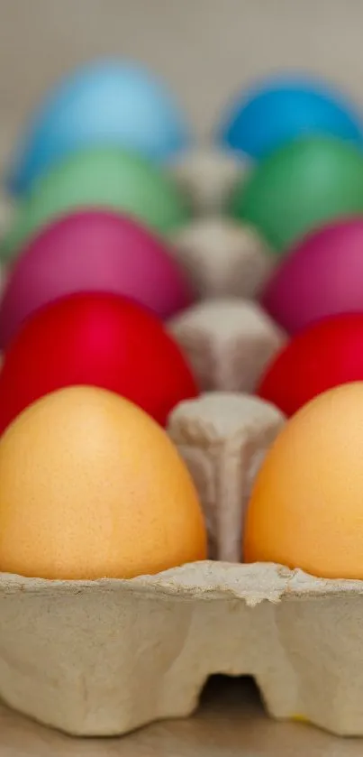 Colorful eggs in a carton, perfect for Easter.