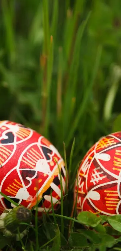 Intricate red Easter eggs on green grass, perfect for festive wallpaper.