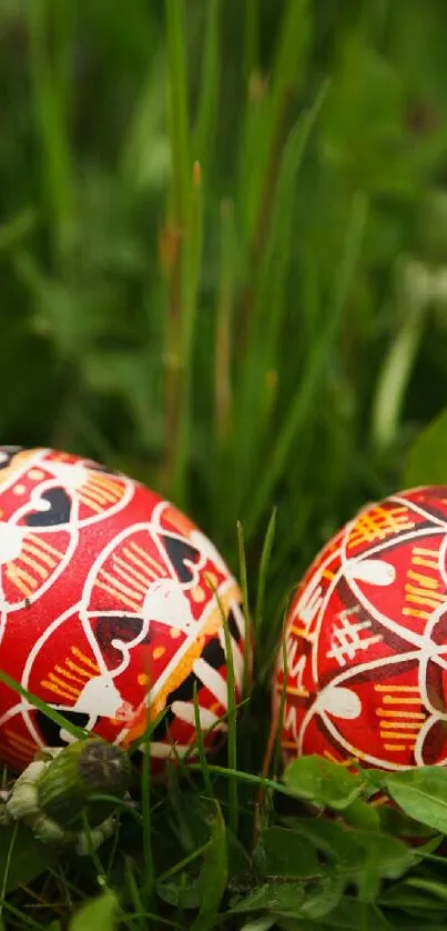 Colorful Easter eggs with intricate patterns in green grass.