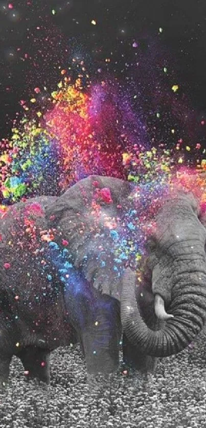 Vibrant colorful elephant with artistic color splash effect on black background.