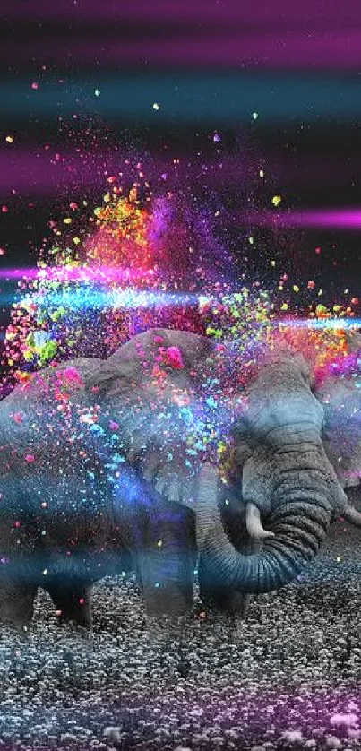 Elephant with colorful paint splashes on a black background in a field.