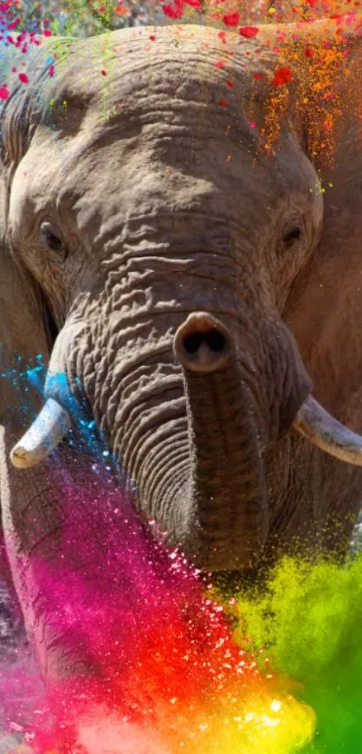 Colorful elephant with vibrant powder splash.