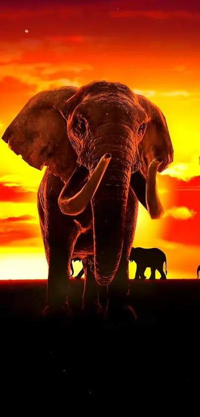 Majestic elephant stands against a vibrant sunset sky, perfect for a mobile wallpaper.