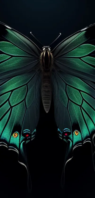 Emerald green butterfly with vibrant, intricate wing patterns on a dark background.