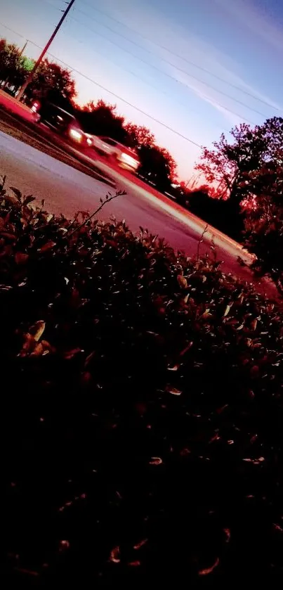 Vibrant evening sky with sunset hues and foliage in foreground.
