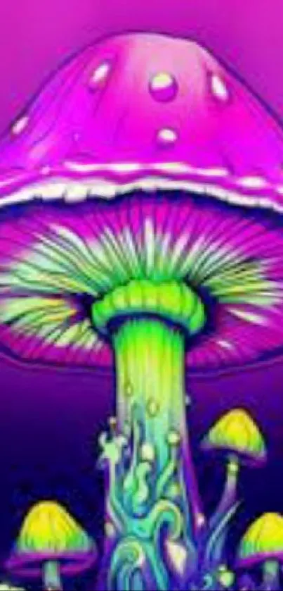 Vibrant psychedelic mushroom wallpaper with bold colors.