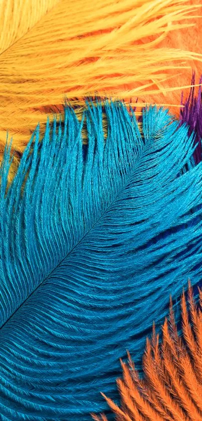 Vibrant feathers in blue, orange, purple, and yellow hues for mobile wallpaper.