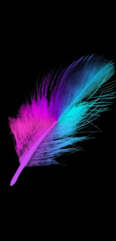 Vibrant magenta and cyan feather on black background.