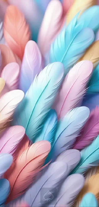 Colorful pastel feathers create a vibrant phone wallpaper.