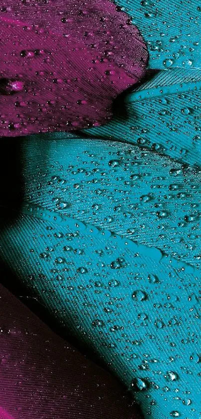 Vibrant teal and magenta feather with water droplets wallpaper.