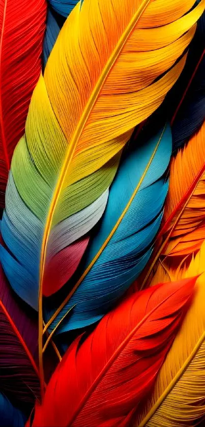 Vibrant multicolored feather wallpaper for mobile phones.