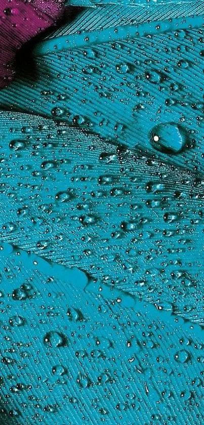 Close-up of colorful teal feathers with water droplets.