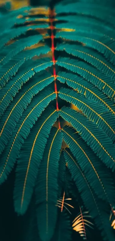 Vibrant teal fern leaf with red accents for mobile wallpaper.