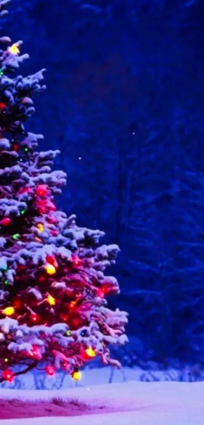 Snow-covered Christmas tree with colorful lights in a dark blue winter background.