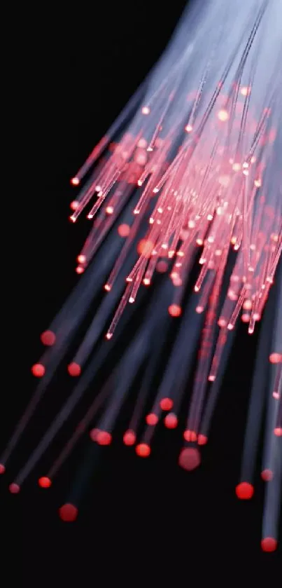 Fiber optics display in red and blue glow on black background.