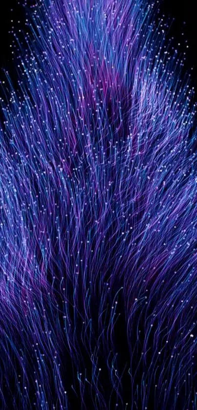 Fiber optic inspired wallpaper with vibrant blue and purple colors.