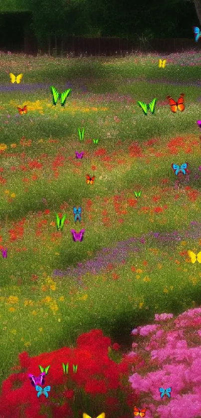 Colorful flower field with vibrant petals and lush greenery.